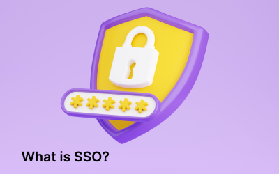 What is SSO?